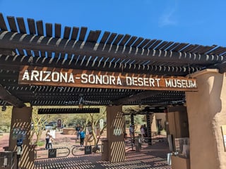 Desert museum